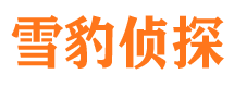 灵寿私家侦探公司